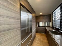 Hana (D10), Condominium #436569481